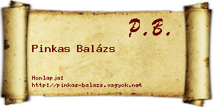Pinkas Balázs névjegykártya